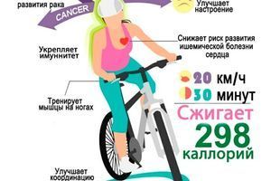 Польза велосипеда для здоровья: почему стоит кататься регулярно