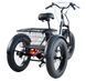 Електровелосипед Триколісний Ardis Charge 20" 500W 2026 чорний
