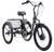 Електровелосипед Триколісний Ardis Charge 24" 350W 2026